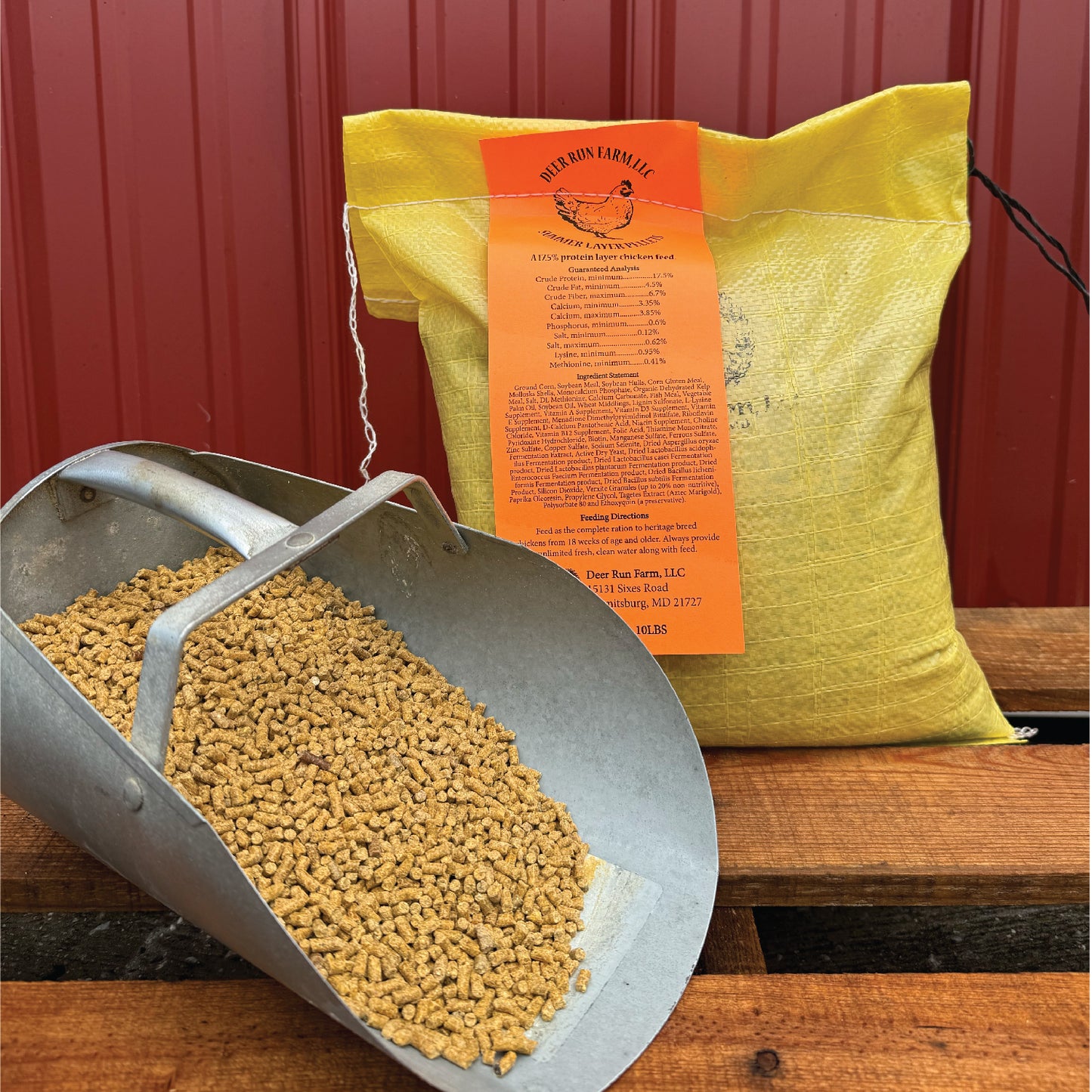 Layer Chicken Feed