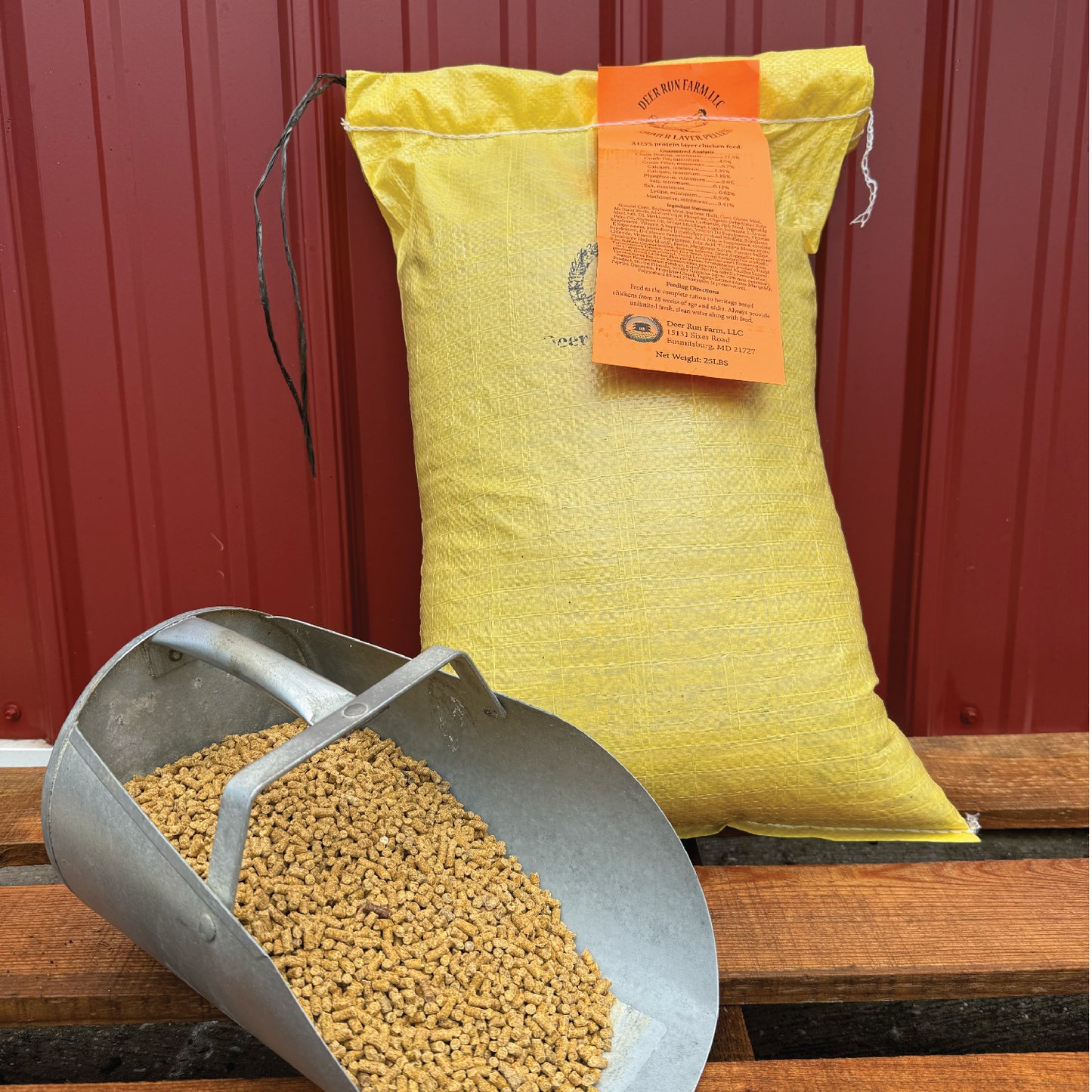 Layer Chicken Feed