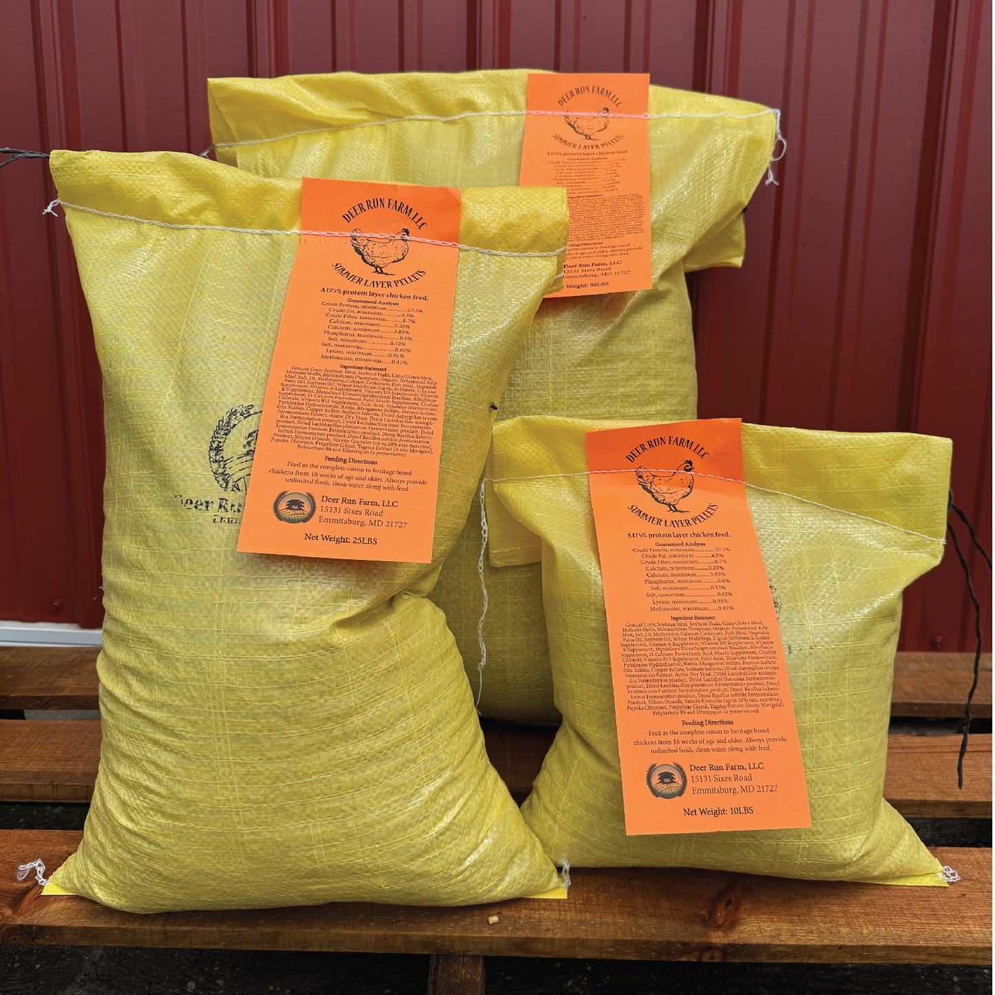 Layer Chicken Feed