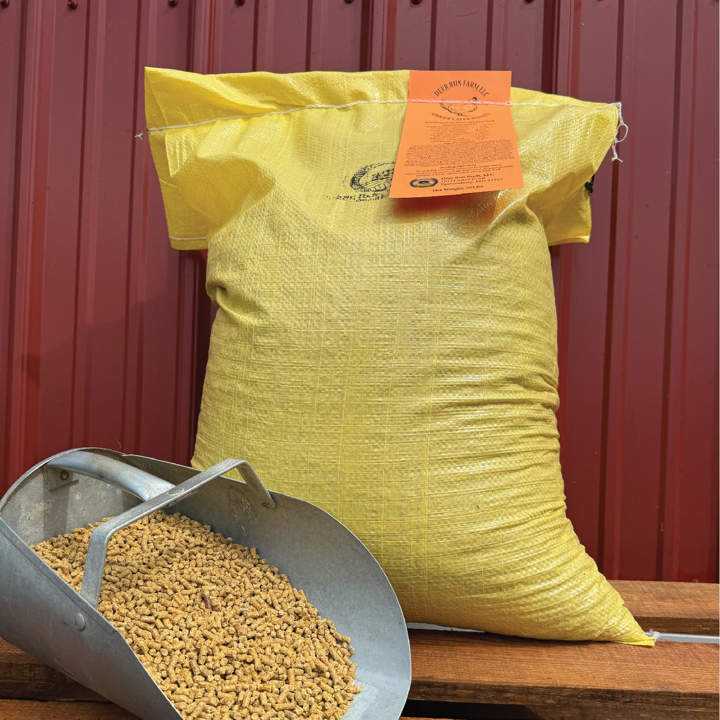 Layer Chicken Feed