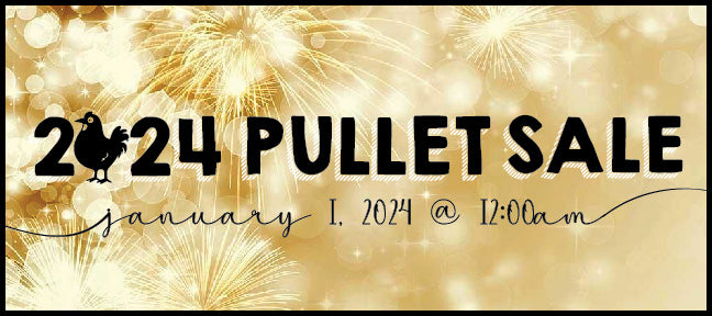 New Years Pullet Sale 2024