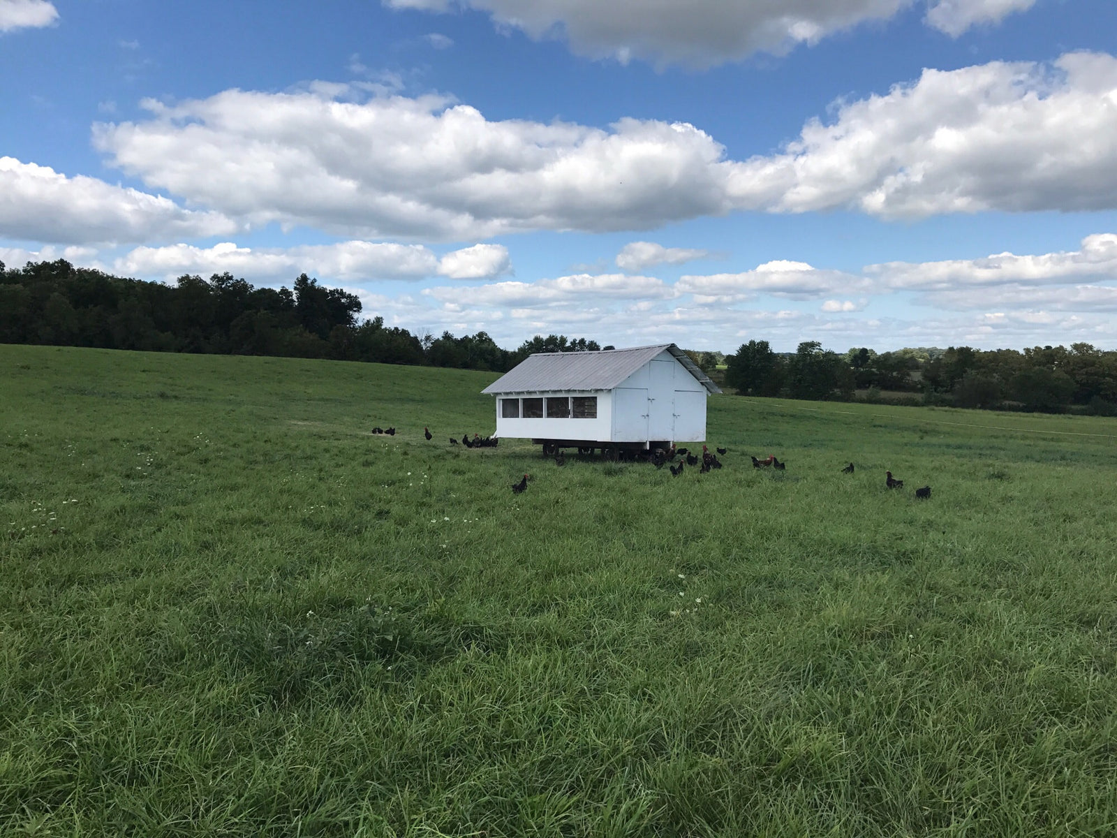 Deer Run Farm, LLC